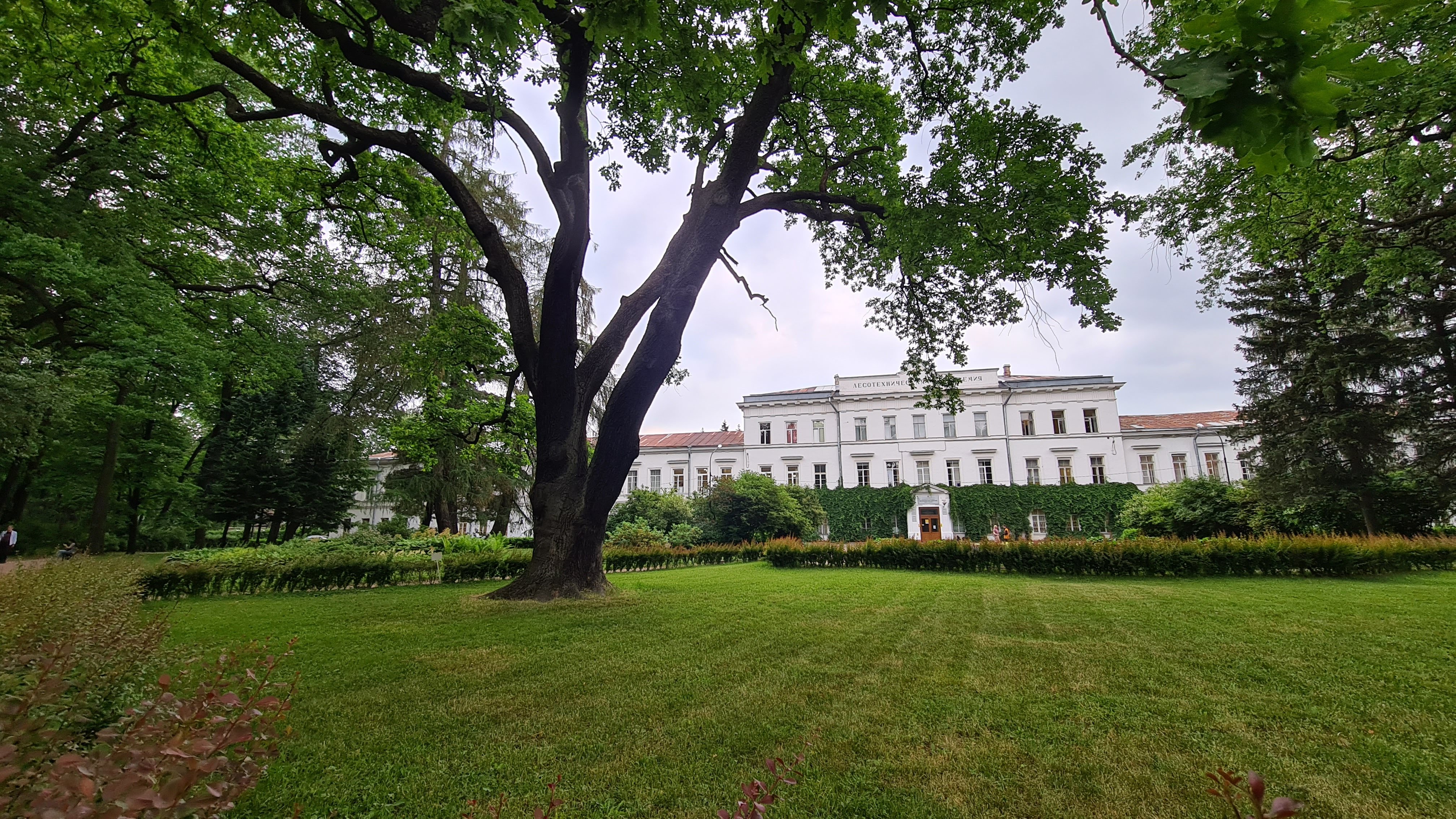 Петербургская лесотехническая академия